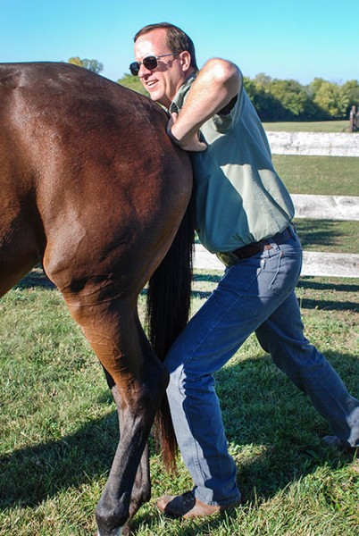 Dr. Keith performing chiropractic care on a horse