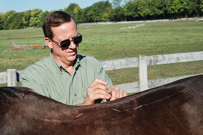 Dr. Keith performing acupunture on a horse