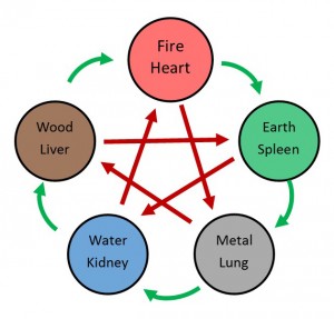 Green arrows indicate Mother-child relationship or nurturing relationship.  Red arrows indicate Grandparent-child relationship or disciplinarian or controlling relationship.